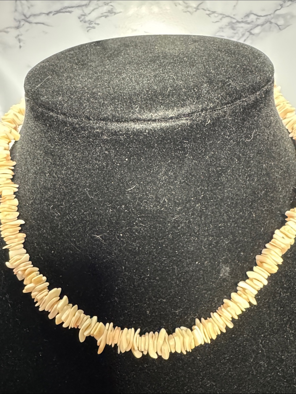 Source Unknown Natural Shell Chip Necklace in Beige and Cream